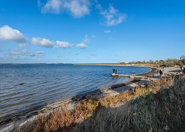 Fördetraum,erste Reihe,Strand 20 m